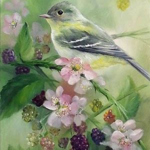 Meet your Posher, Amal